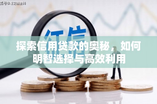 茂林探索信用贷款的奥秘，如何明智选择与高效利用