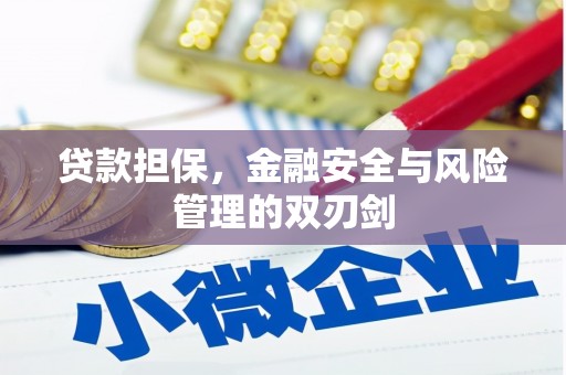 茂林贷款担保，金融安全与风险管理的双刃剑