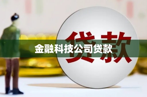 茂林金融科技公司贷款