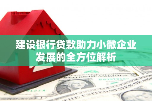茂林建设银行贷款助力小微企业发展的全方位解析