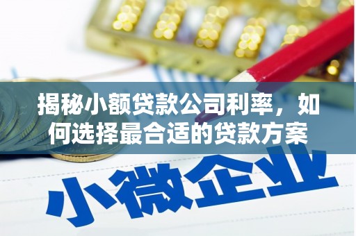 茂林揭秘小额贷款公司利率，如何选择最合适的贷款方案
