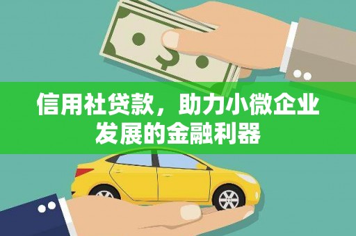 茂林信用社贷款，助力小微企业发展的金融利器