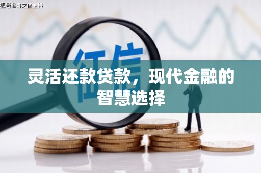 茂林灵活还款贷款，现代金融的智慧选择
