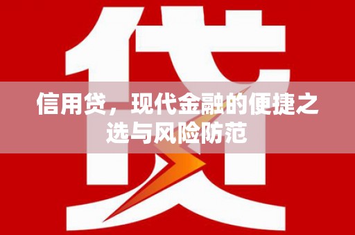 茂林信用贷，现代金融的便捷之选与风险防范