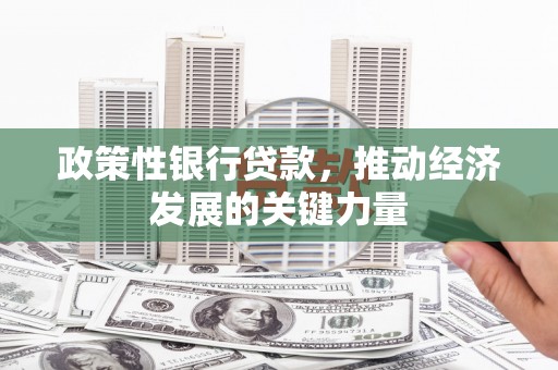 茂林政策性银行贷款，推动经济发展的关键力量