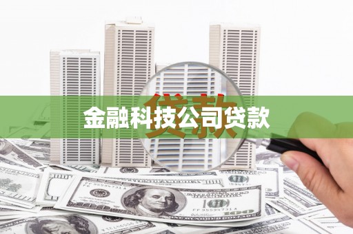 茂林金融科技公司贷款