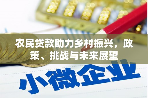 茂林农民贷款助力乡村振兴，政策、挑战与未来展望