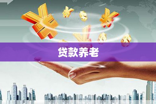 茂林贷款养老