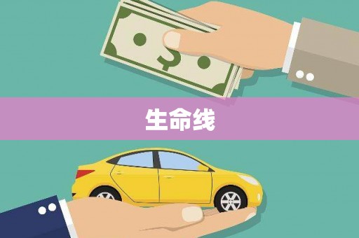 茂林生命线