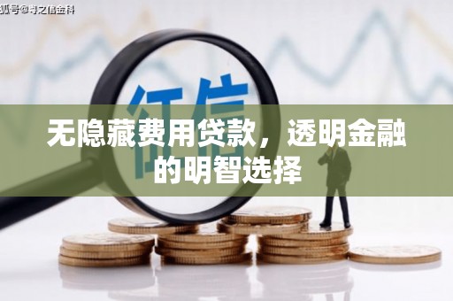 茂林无隐藏费用贷款，透明金融的明智选择