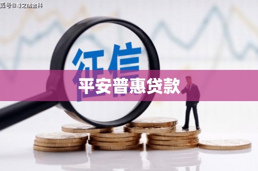 茂林平安普惠贷款