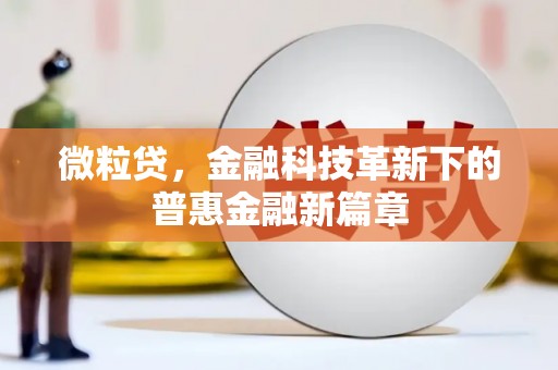 茂林微粒贷，金融科技革新下的普惠金融新篇章