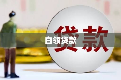 茂林白领贷款
