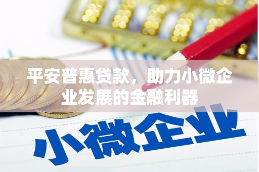 茂林平安普惠贷款，助力小微企业发展的金融利器