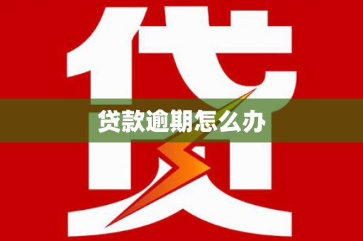 茂林贷款逾期怎么办