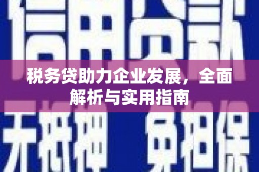 茂林税务贷助力企业发展，全面解析与实用指南