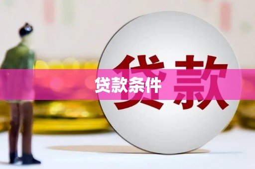 茂林贷款条件