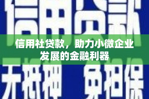 茂林信用社贷款，助力小微企业发展的金融利器