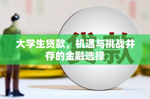茂林大学生贷款，机遇与挑战并存的金融选择