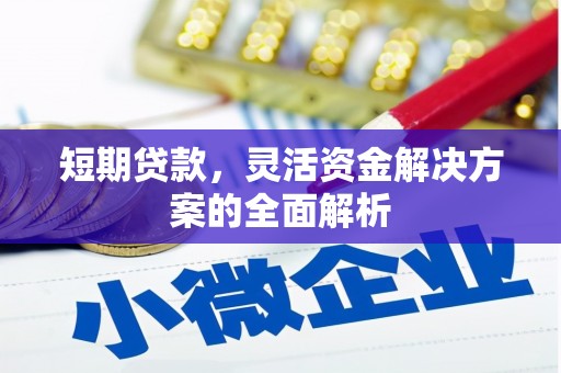 茂林短期贷款，灵活资金解决方案的全面解析
