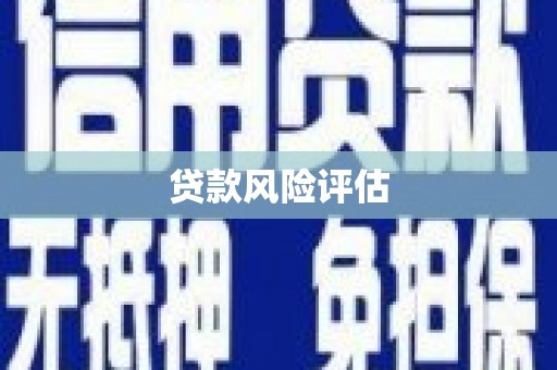 茂林贷款风险评估