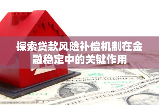 茂林探索贷款风险补偿机制在金融稳定中的关键作用