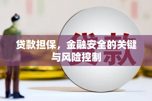 茂林贷款担保，金融安全的关键与风险控制