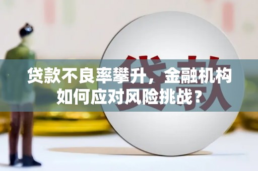 茂林贷款不良率攀升，金融机构如何应对风险挑战？