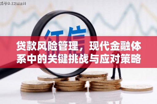 茂林贷款风险管理，现代金融体系中的关键挑战与应对策略