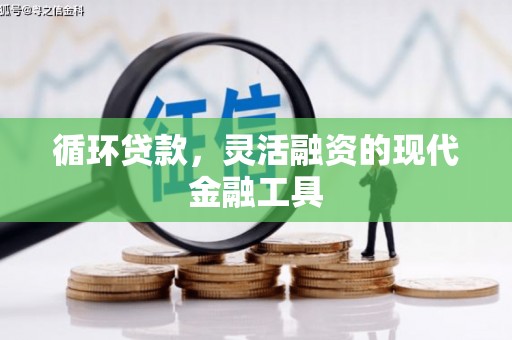 茂林循环贷款，灵活融资的现代金融工具