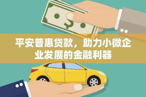 茂林平安普惠贷款，助力小微企业发展的金融利器