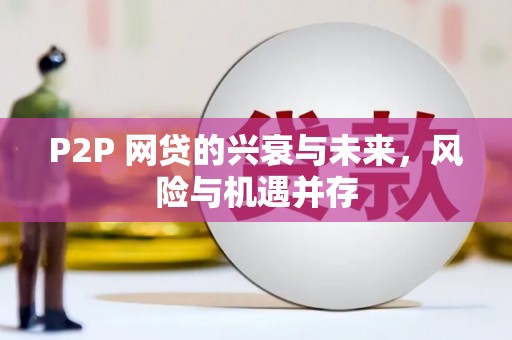 茂林P2P 网贷的兴衰与未来，风险与机遇并存