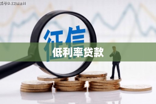 茂林低利率贷款