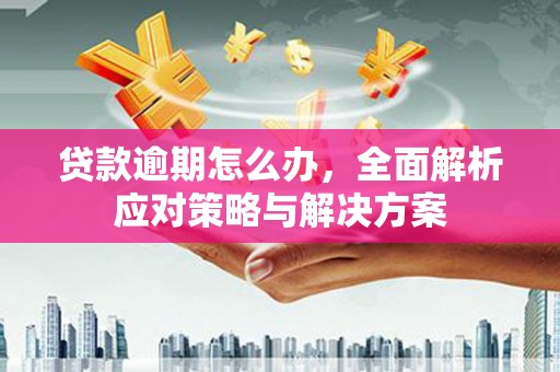 茂林贷款逾期怎么办，全面解析应对策略与解决方案
