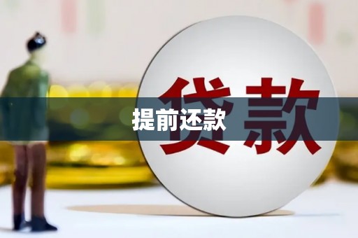 茂林提前还款