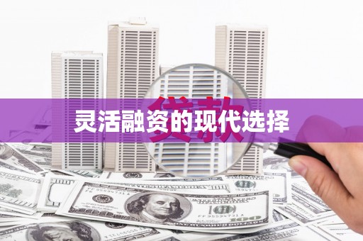 茂林灵活融资的现代选择