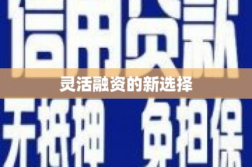 茂林灵活融资的新选择