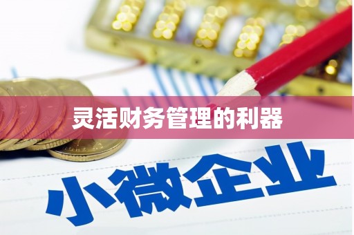 茂林灵活财务管理的利器