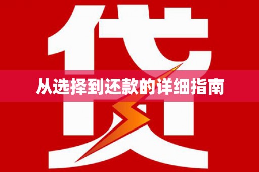 茂林从选择到还款的详细指南