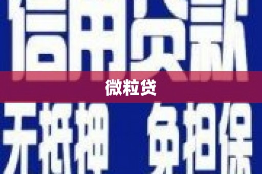 茂林微粒贷