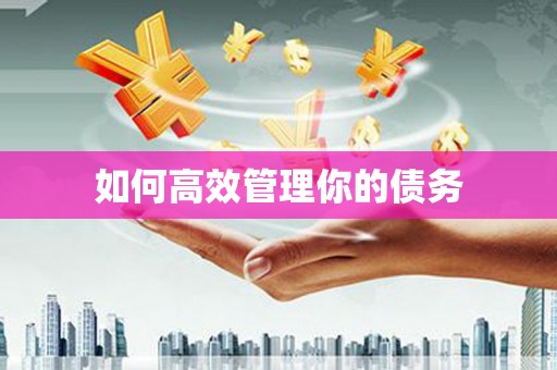 茂林如何高效管理你的债务
