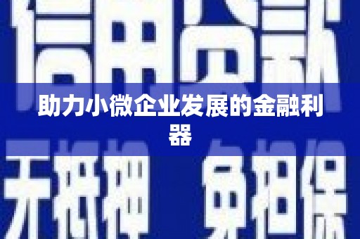 茂林助力小微企业发展的金融利器