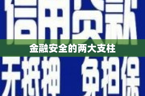 茂林金融安全的两大支柱