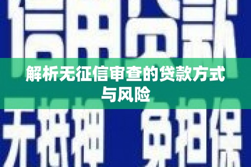 茂林解析无征信审查的贷款方式与风险