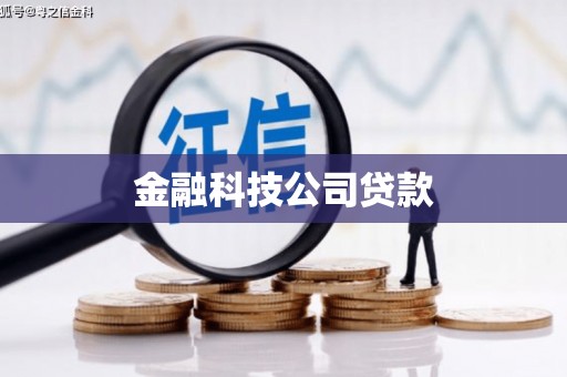 茂林金融科技公司贷款