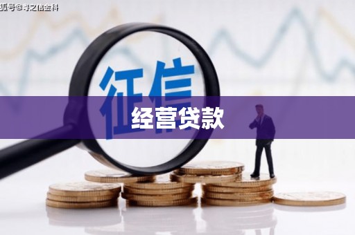 茂林经营贷款