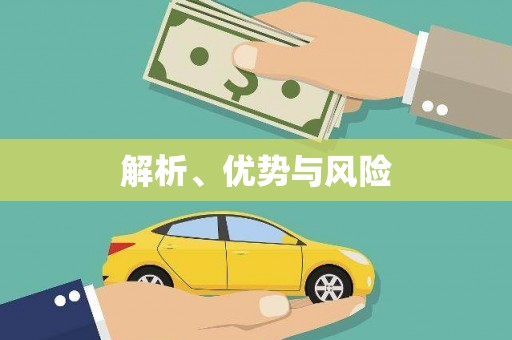 茂林解析、优势与风险