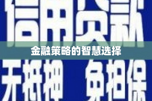 茂林金融策略的智慧选择