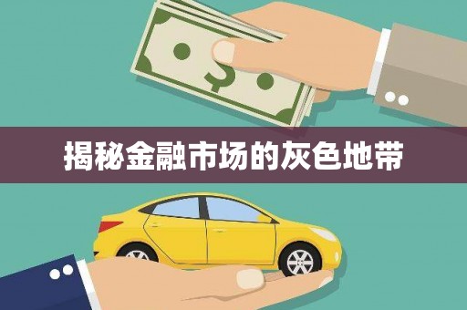 茂林揭秘金融市场的灰色地带