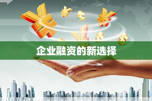 茂林企业融资的新选择